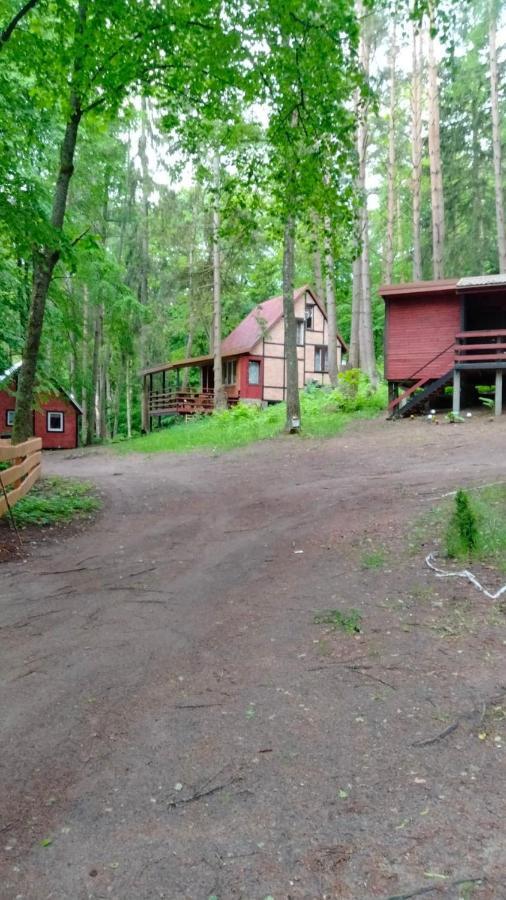Lodge Oleandria-,, Poziomeczka